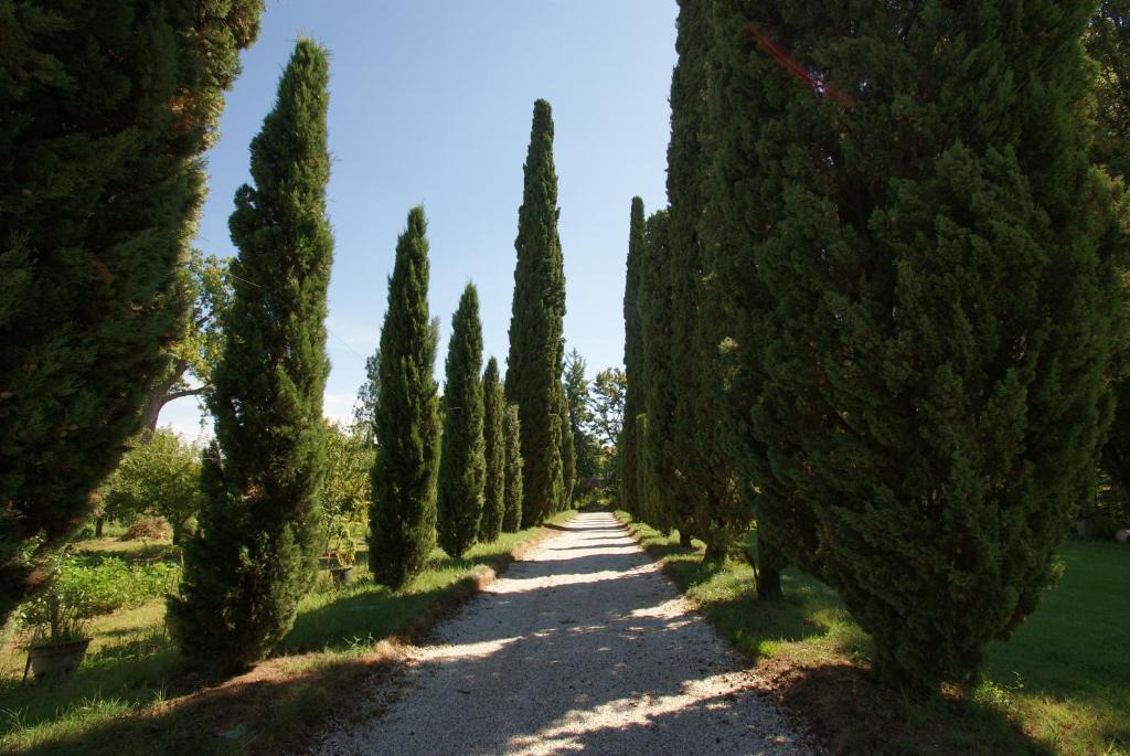 Vicenza Apartment | Villa Ghislanzoni