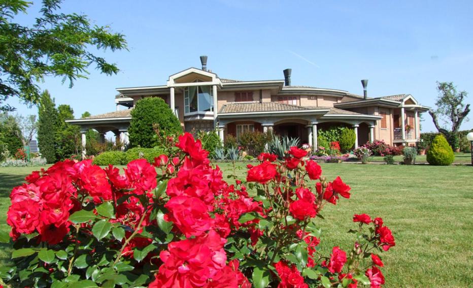 Calabrina Bed & Breakfast | Villa Giusy B&B