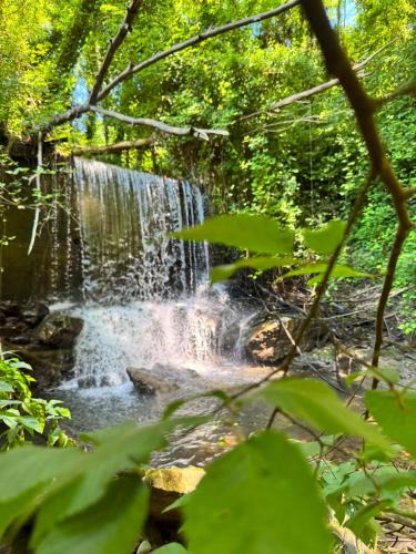 Capannori Villa | Villa Gopal surrounded by nature, Lucca