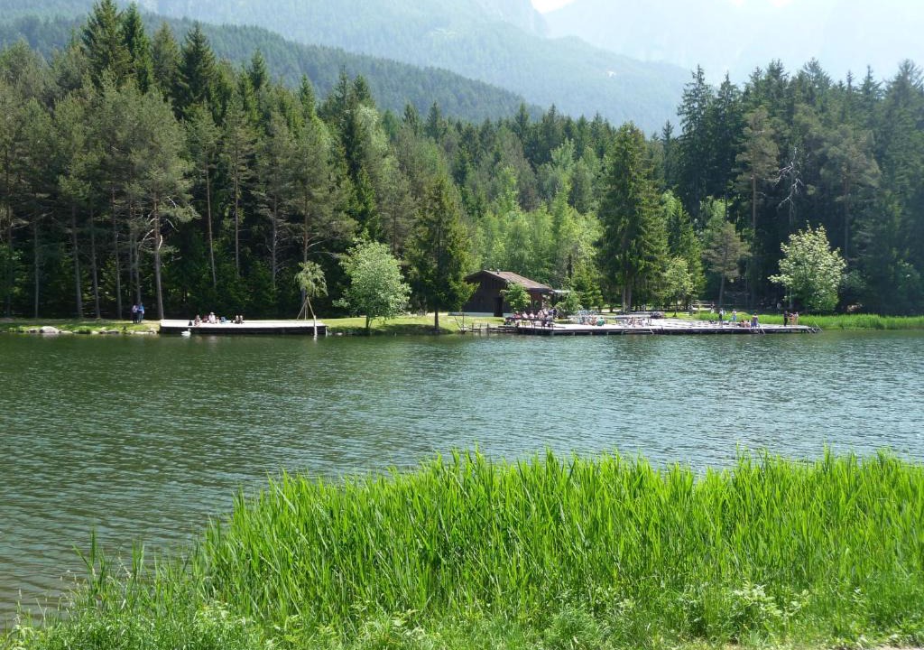 Siusi Apartment | Villa Grünewald
