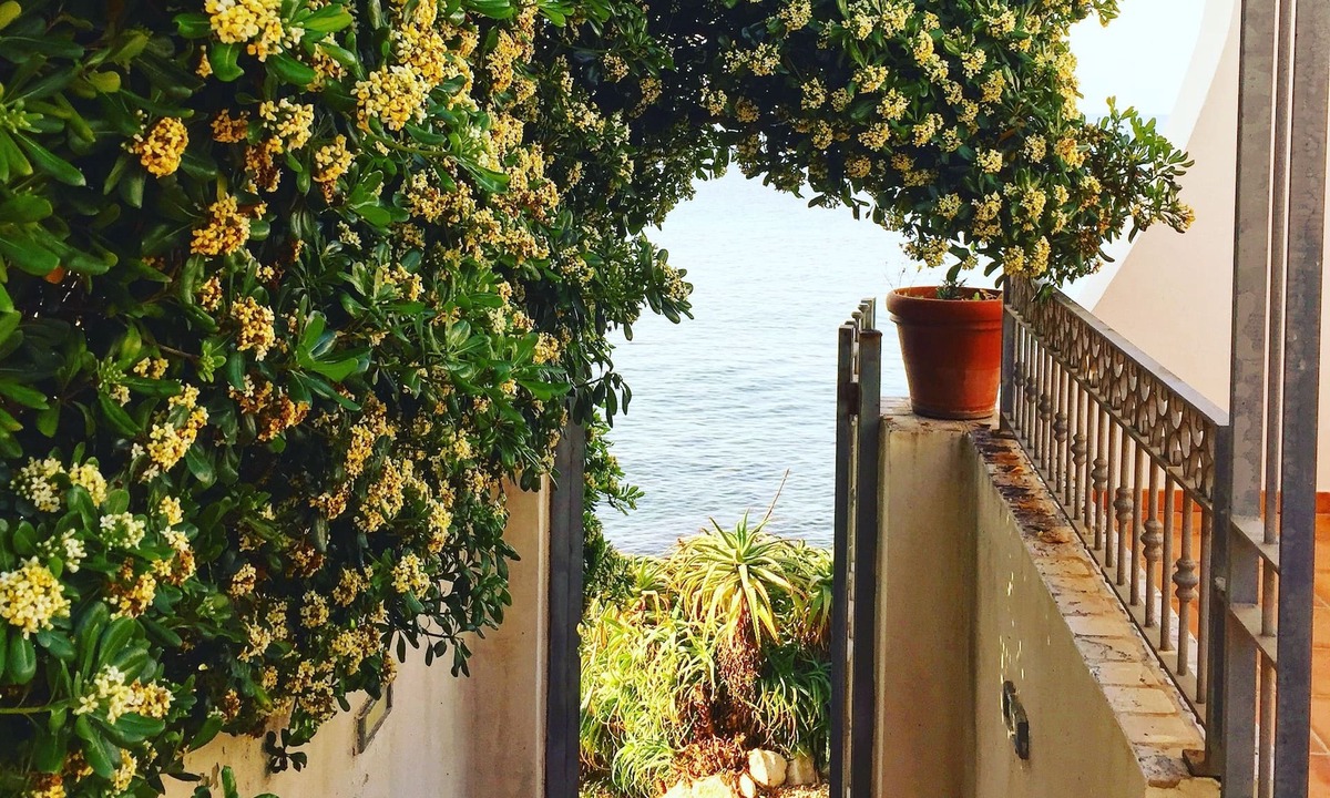 Fertilia House | Villa Grachira