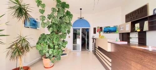 Iasi House | Villa Grande