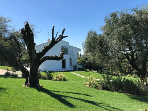 Borgo Trento Apartment | Villa Il Bacio del Sole