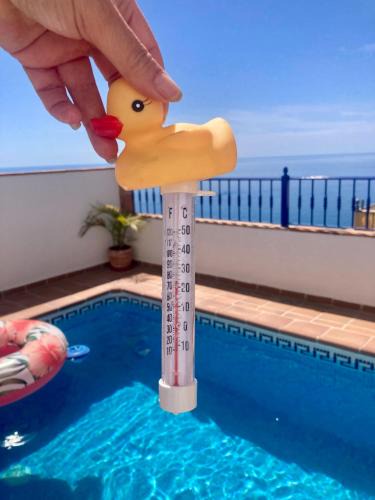 Punta Lara Villa | Villa in Nerja with private pool and sea view