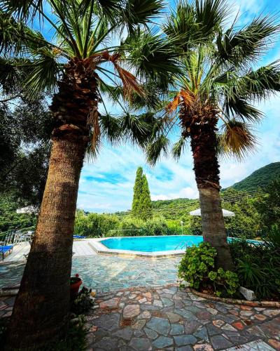 Lichnos Apartment | Villa Kallithea