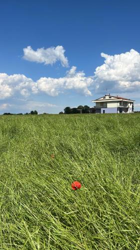 Gerbola Villa | Villa Kalos