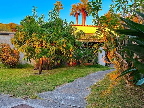 Forio Apartment | Villa Kalos - Tra il verde e il mare