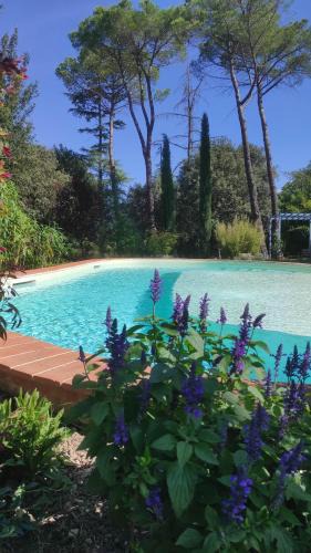 Subbiano Bed & Breakfast | Villa la Ginestra - Charming Country Rooms