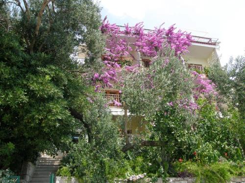 Brela Apartment | Villa Libertas