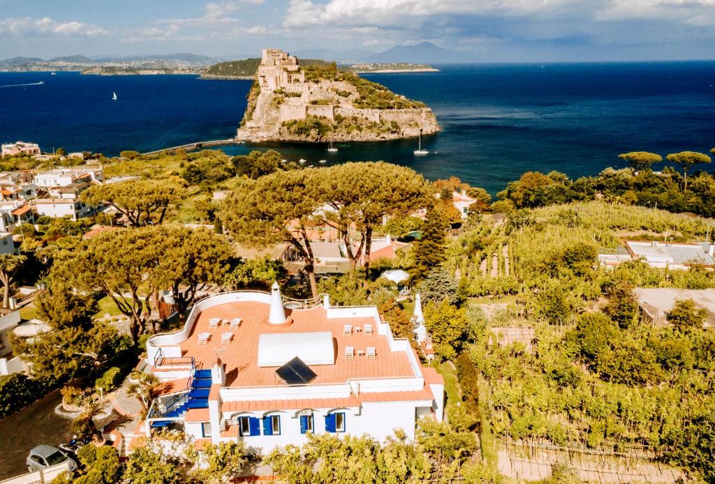 Ischia Ponte House | Villa Livia