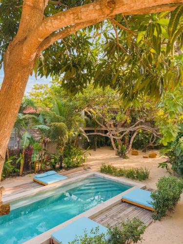 Jijoca de Jericoacoara Hotel | Villa Mango Jeri