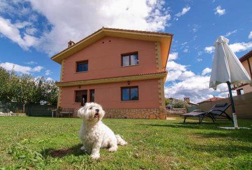 Ciguenza House | Villa María.