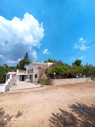 Patu House | Villa Maria