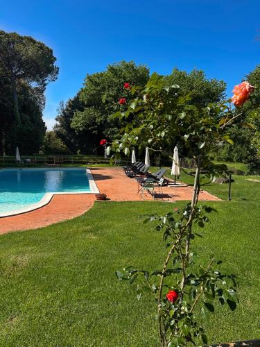 Simignano Apartment | Villa Mucellena