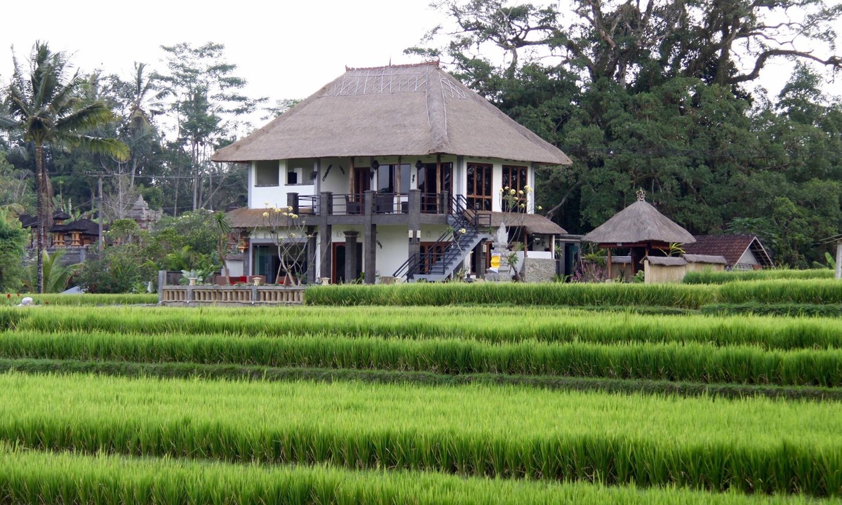 Kelusa Villa | Villa near Ubud, panoramic view of rice fields and the volcano