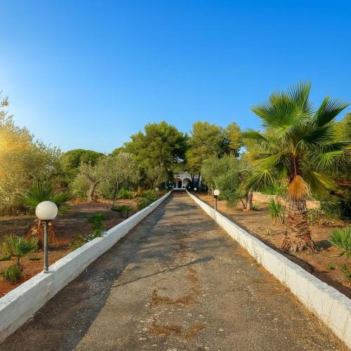 Cenate Villa | Villa nel Salento con piscina e ulivi