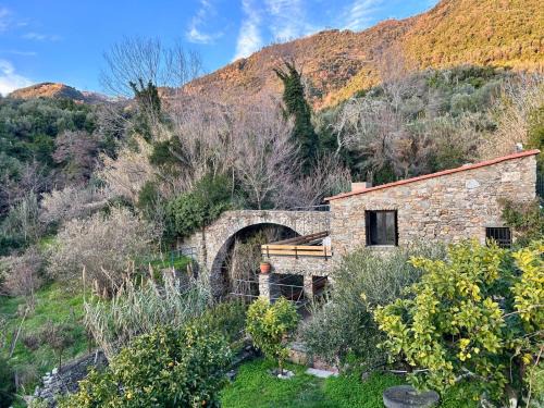 Corniglia Villa | Villa Olive Mill Terra Rossa