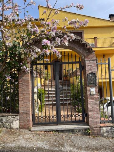 Praia a Mare Bed & Breakfast | Villa Orchidea