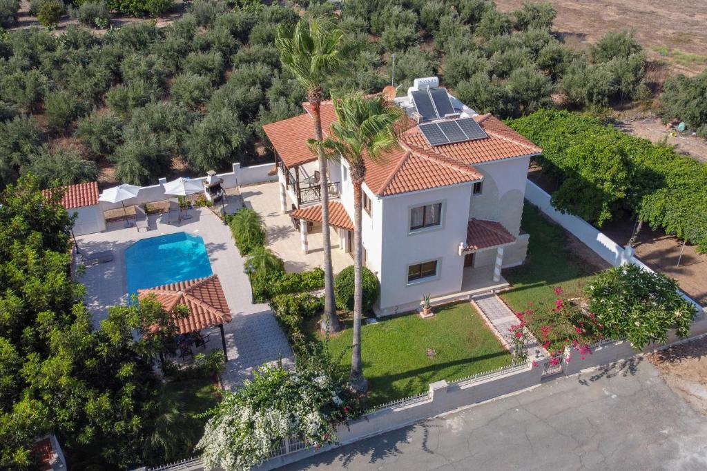Chlorakas Villa | Villa Paradise