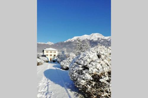 Belluno Apartment | Villa Perale: la tua casa alle pendici delle Dolomiti