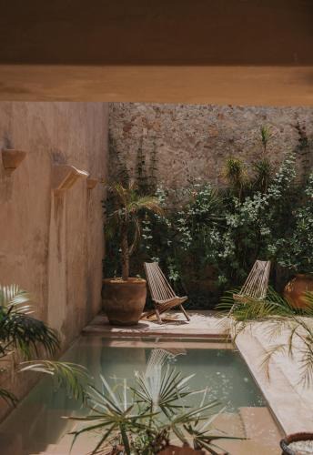 Centro Bed & Breakfast | Villa Petit Comité
