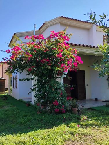 Tanaunella Apartment | Villa Pierina