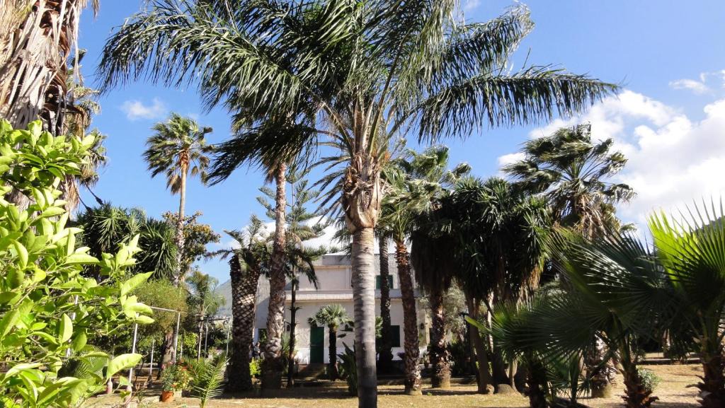 Carini House | Villa Ponticelli