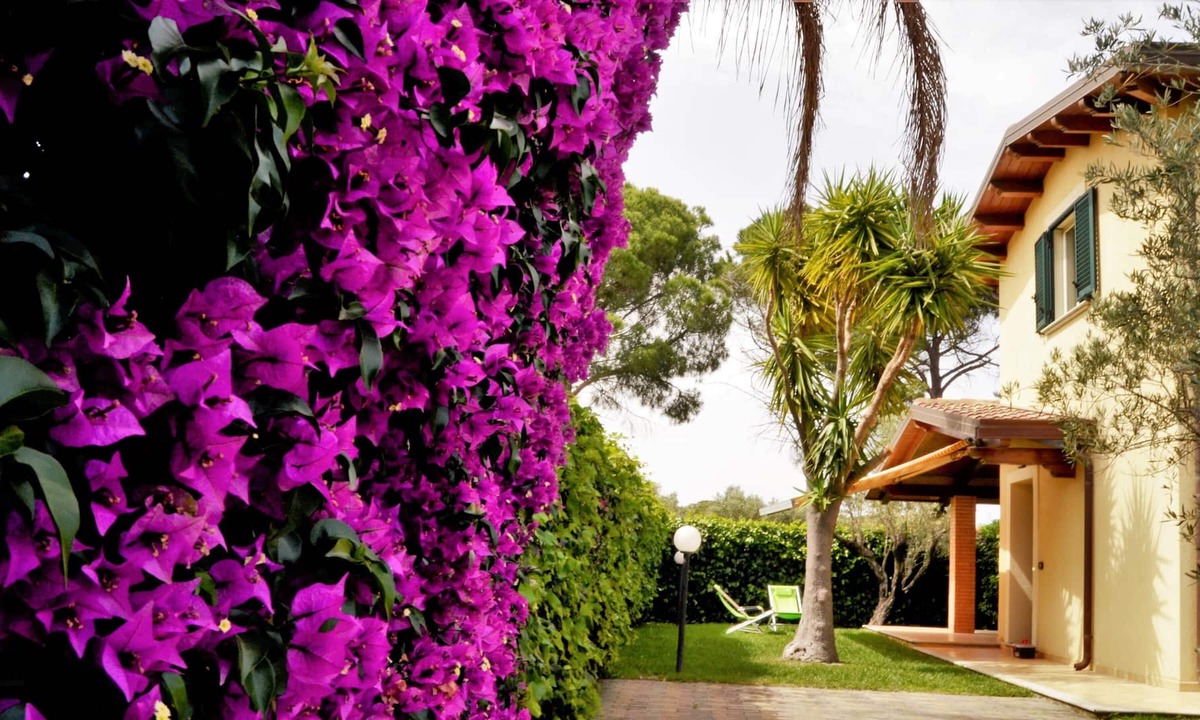 San Sostene Marina Villa | VILLA POSEIDONE RESIDENCE ALACA