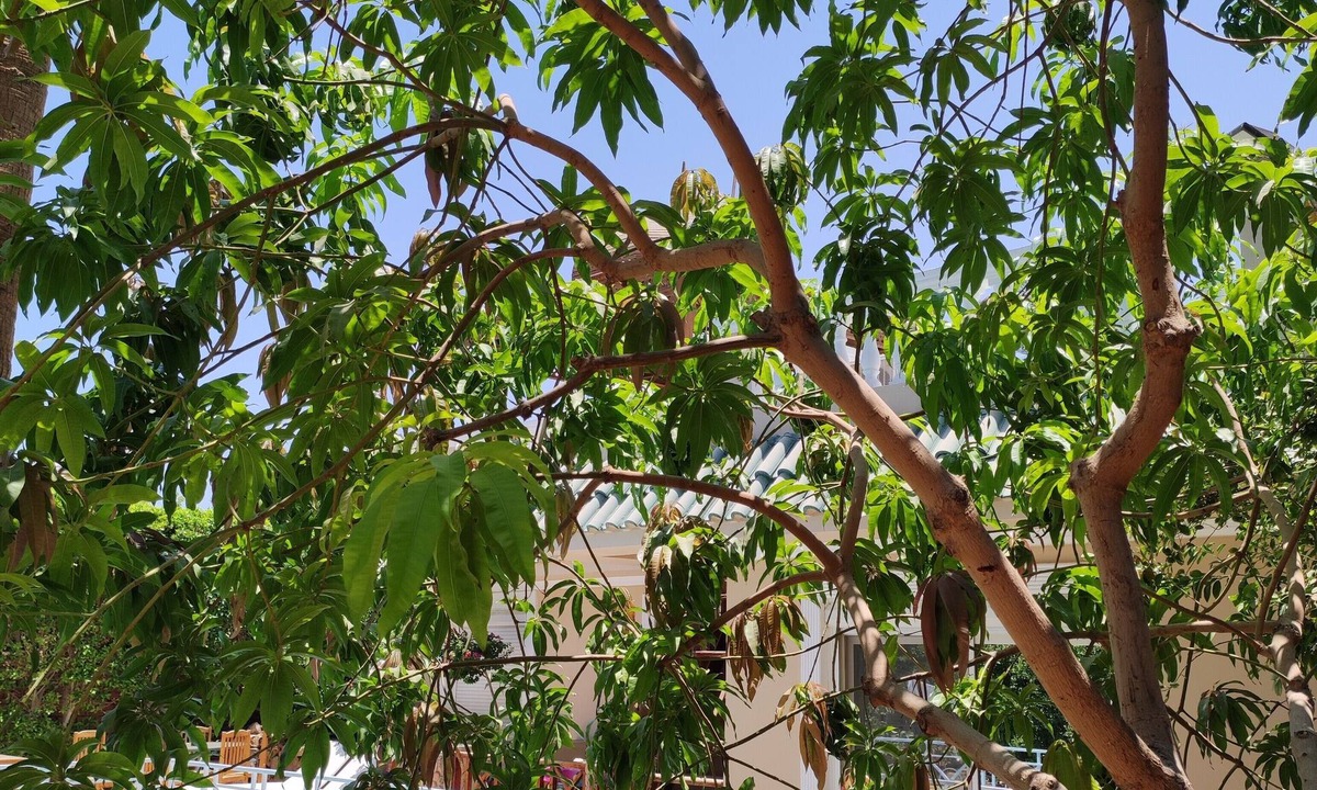 Al Mamsha El Seyahi Villa | Villa Rayan