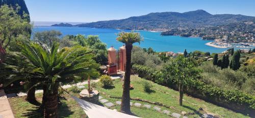 Zoagli Apartment | Villa Razeto