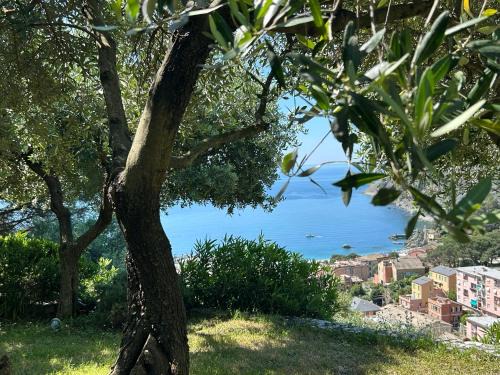 Cinque Terre Apartment | Villa Renata - amazing sea view garden terrrace