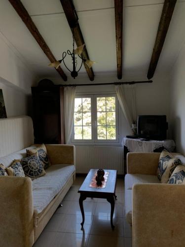 Platana House | Villa Riverside