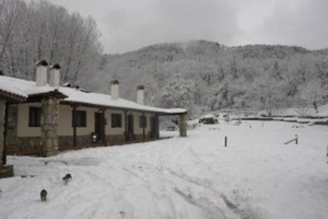 Antartiko House | Villa Rosa