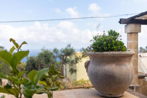 Marina Serra House | Villa Serra
