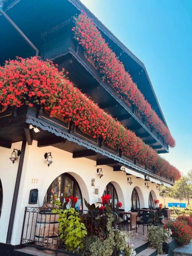 Bran House | Villa Siana