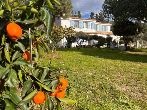 Quartu Sant'Elena Apartment | Villa Silmar