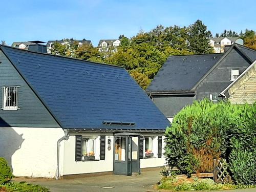 Neuastenberg Villa | Villa SKYLO