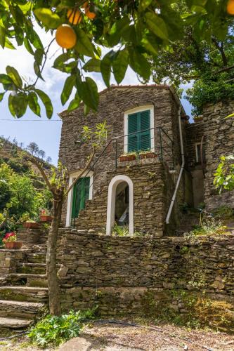 Vernazza House | Villa Smith
