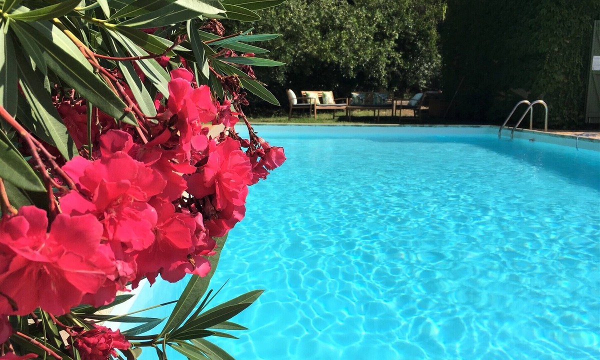 La Garde-Freinet Villa | Villa-Superior-Ensuite-Park view- 3 chambres