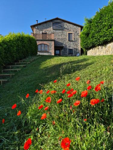 Orvieto Villa | Villa Talleh