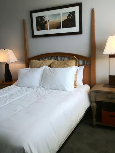 Sierra Verde House | VILLA Verde Surprise Stadium - Resort Living