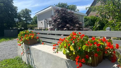 Ystad House | Villa Vinja