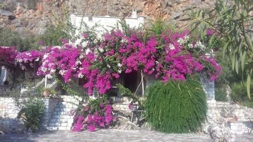 Karavostasi Villa | Villa Voukamvilia 3 minutes walk from Beach