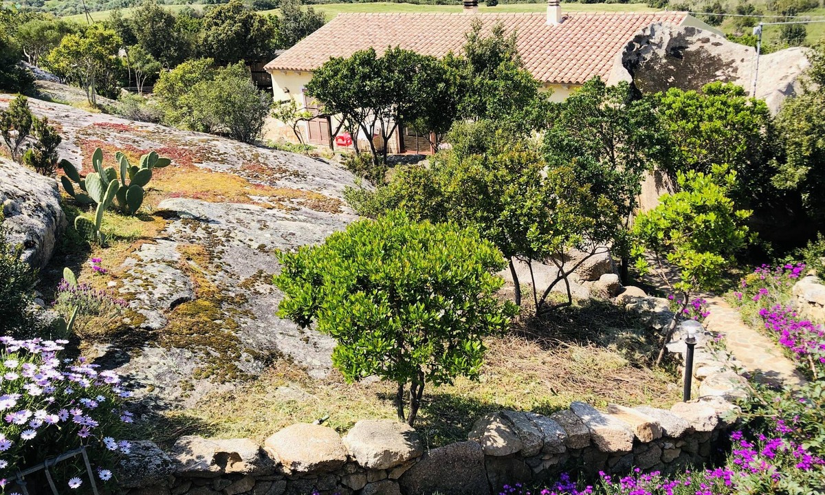 Arzachena House | Villa with panoramic pool surrounded by greenery