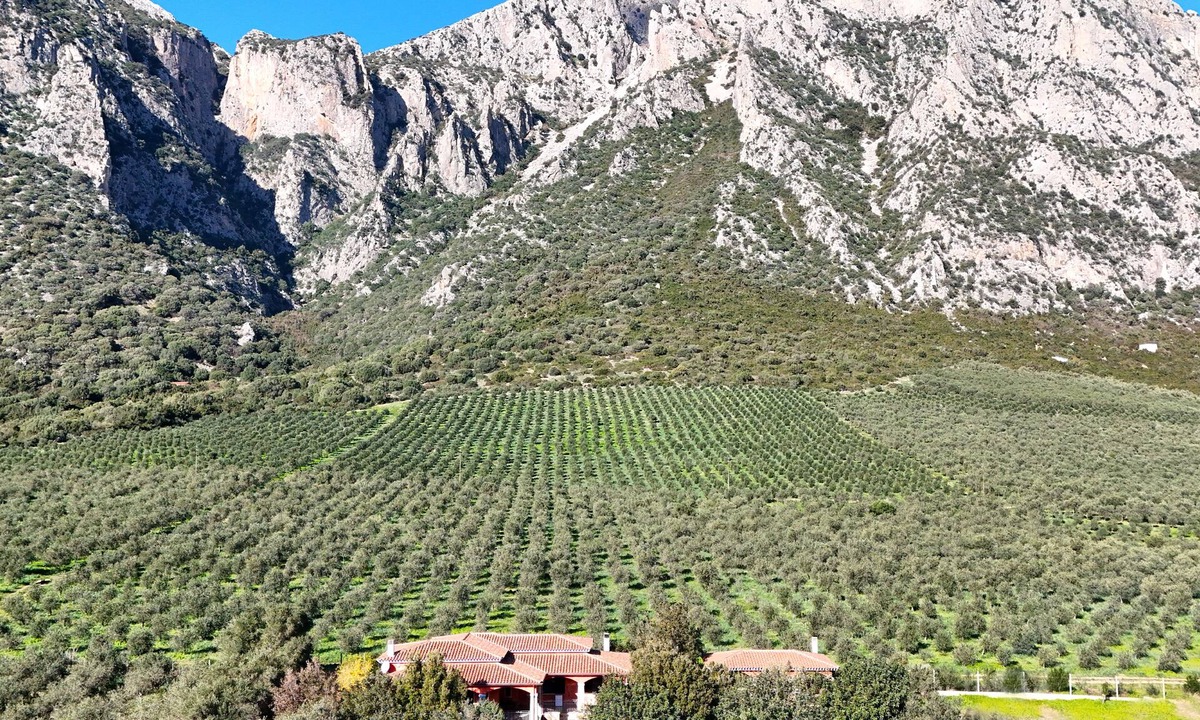 Siniscola Villa | Villa with stunning views to the mountains 5km from the beach