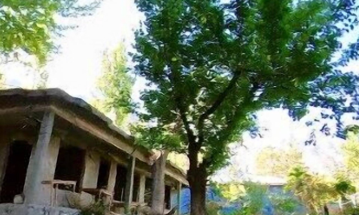 Booni House | Village White Rock