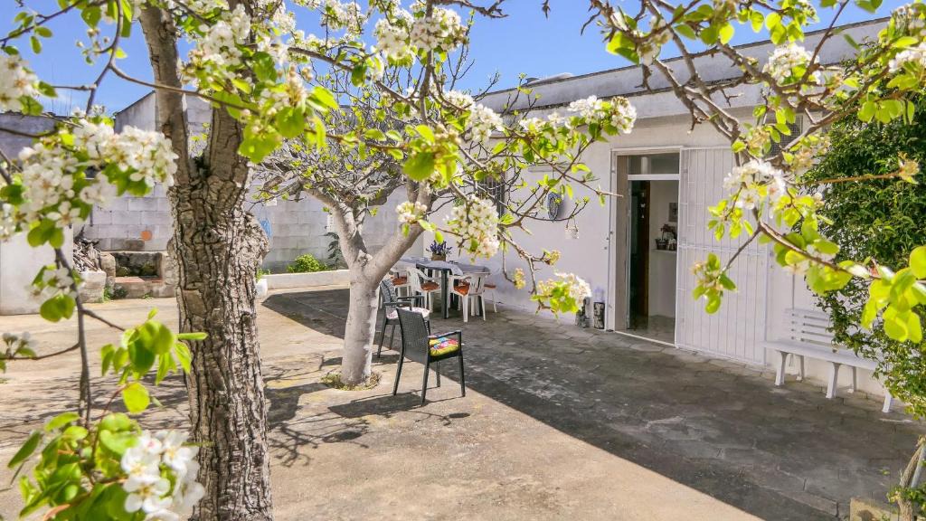 Punta Prosciutto House | Villetta Adele