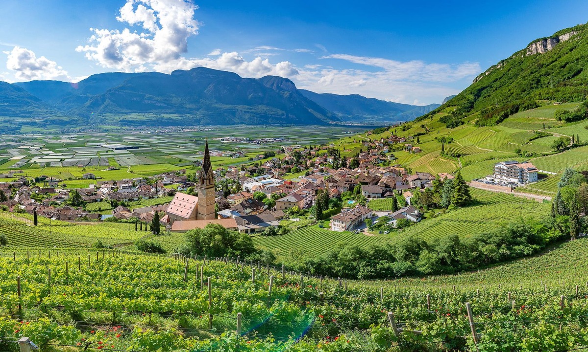 Tramin Hotel | Vineus