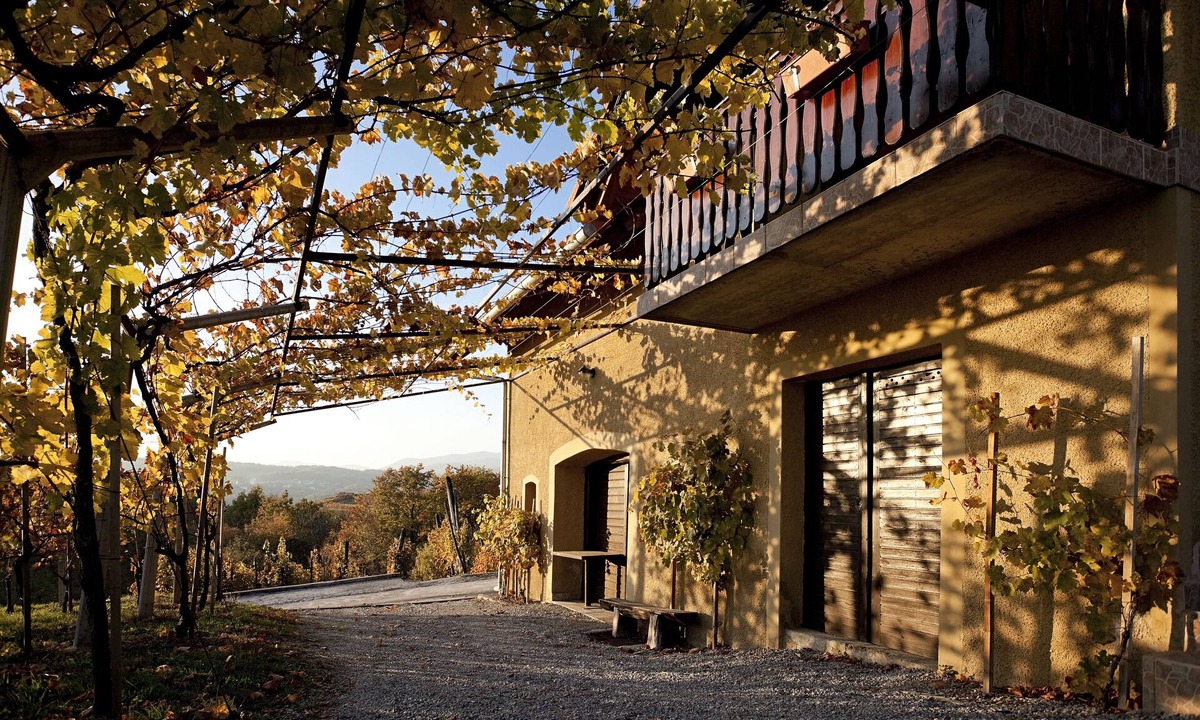 Drasici House | Vineyard Cottage Brodaric
