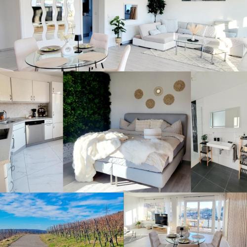Schippach Apartment | Vineyard-Suites Traumferienwohnung mit Panoramablick und Weinidylle